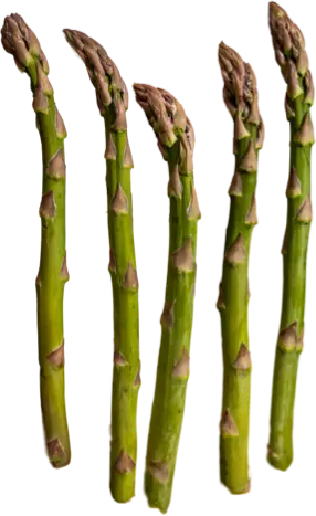 Asparagus